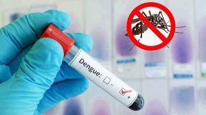 আরও ৫৩০ জন ডেঙ্গু আক্রান্ত হাসপাতালে ভর্তি